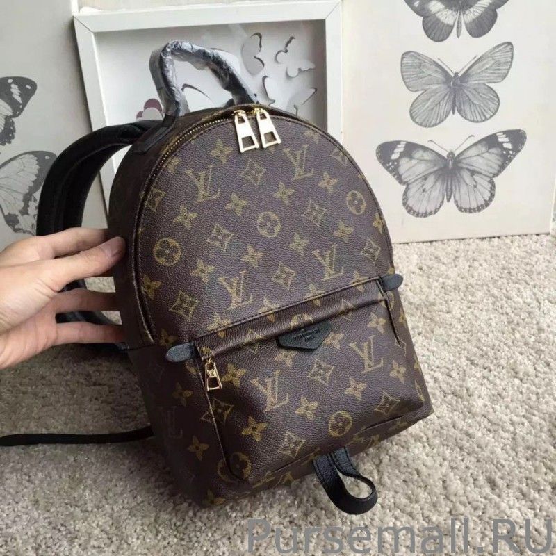 Palm Springs Backpack PM M41560