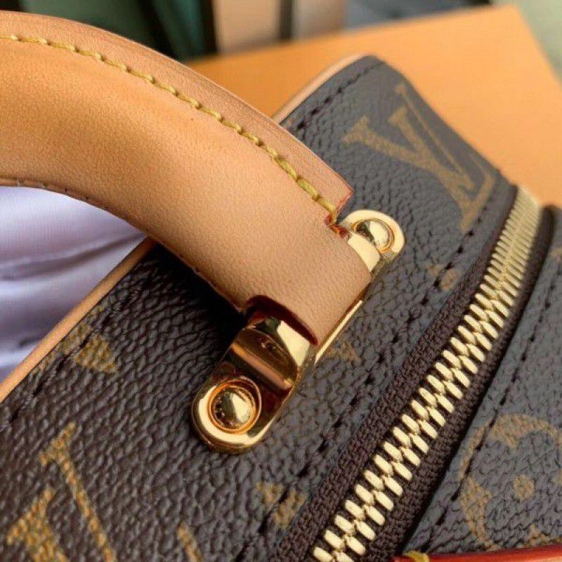Mini Luggage BB Monogram Canvas M44804