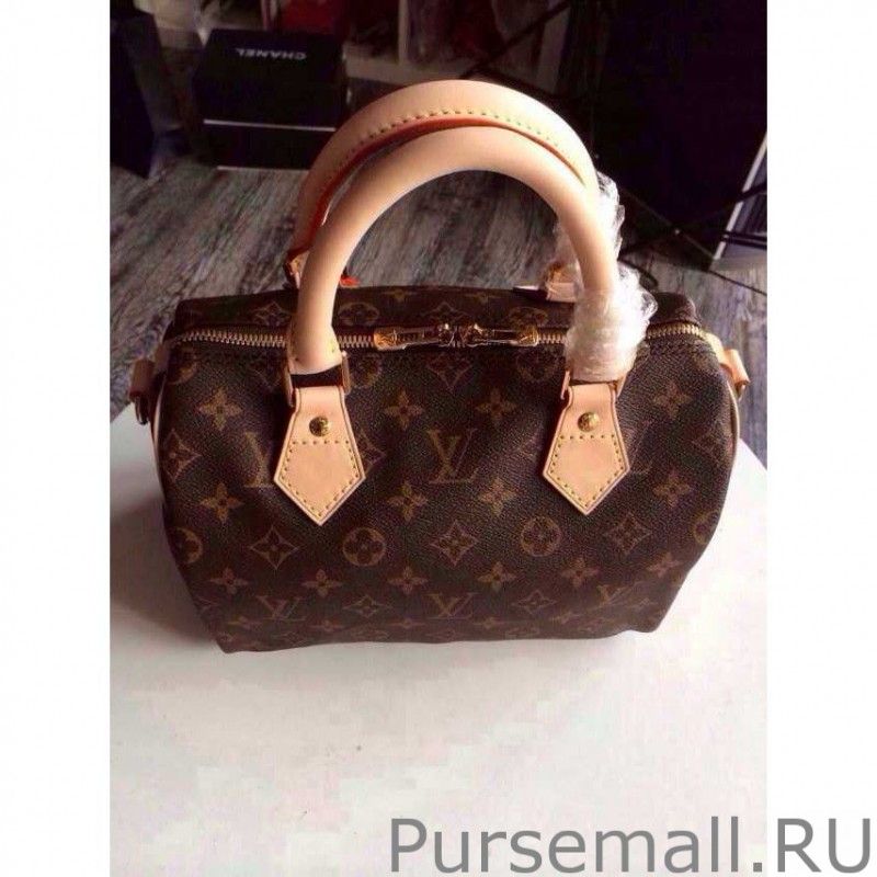 Speedy Bandouliere 25 Monogram M41113